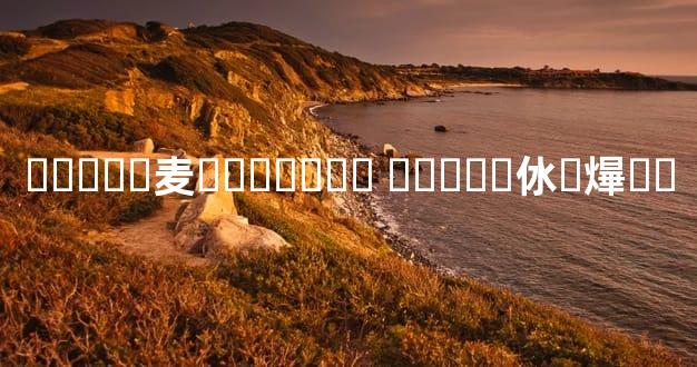 ���ֺϻ麦�˶����� �����㲻��